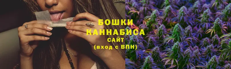 продажа наркотиков  Ковылкино  Канабис White Widow 